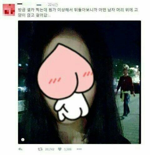소소하게 웃긴 JPG 18 | 인스티즈