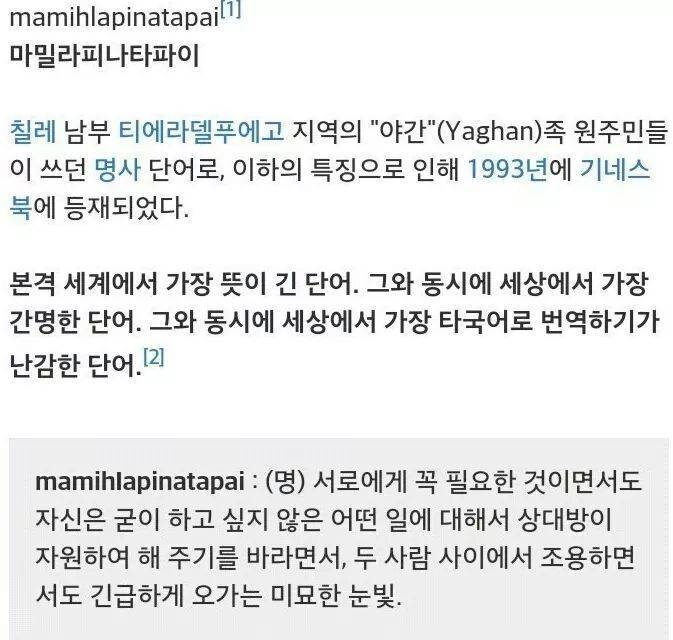 세계에서 가장 뜻이 긴 단어이자 세상에서 가장 타국어로 번역하기가 난감한 단어.jpg | 인스티즈