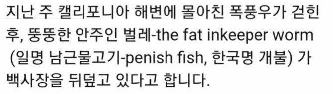 캘리포니아 해변 개불파티 | 인스티즈