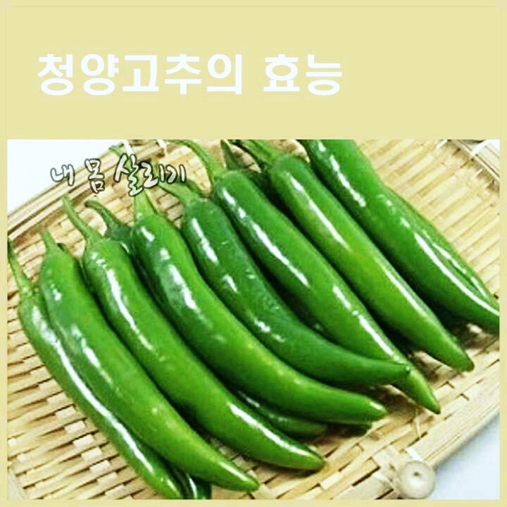 (주)고추나라 이미지