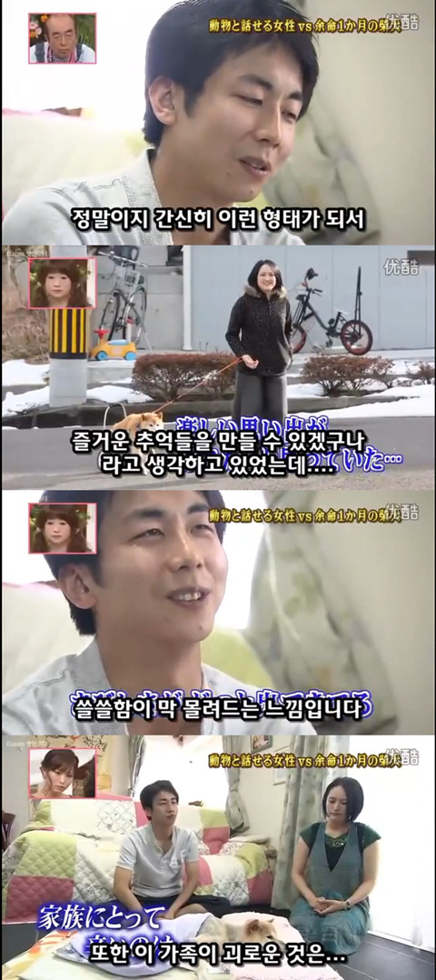 사고로 하반신 마비가되자 주인에게 비참하게 버림받은 시바견 사연 (애니멀 커뮤니케이터 하이디) | 인스티즈
