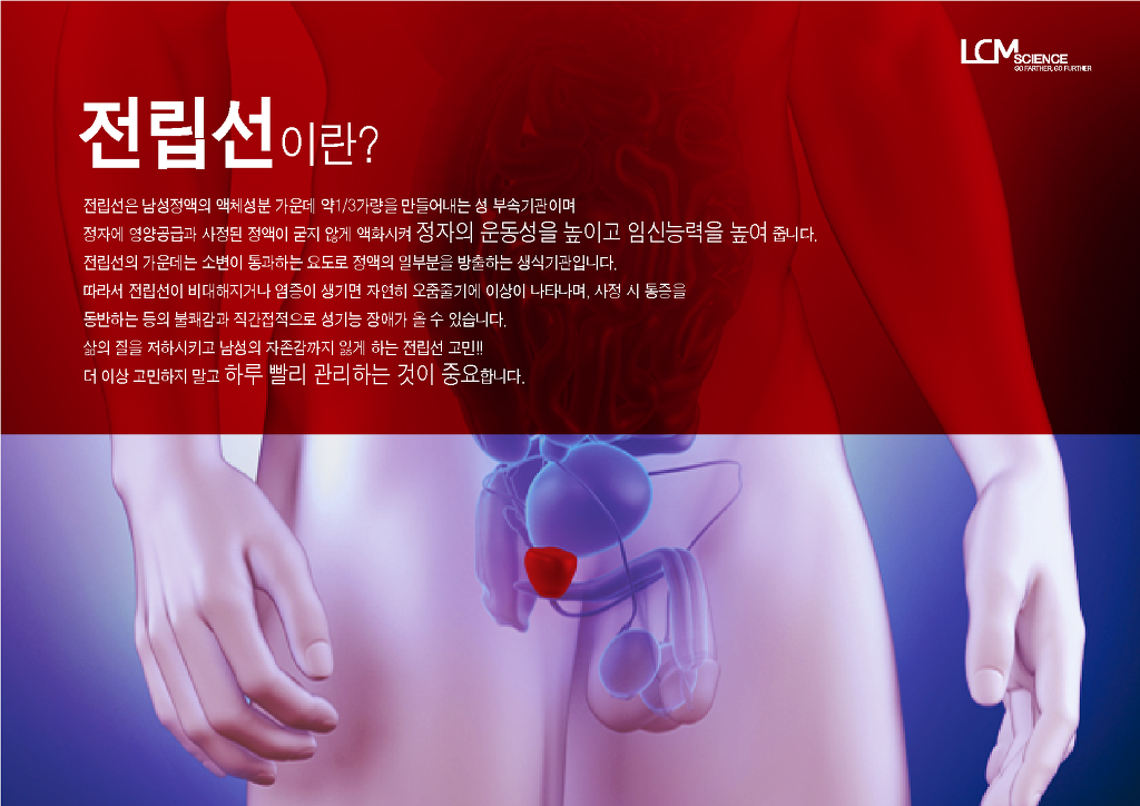 엘씨엠 이미지