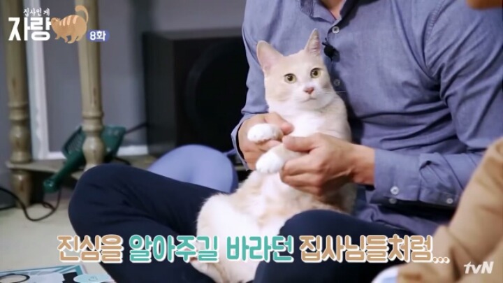 이과가 또... (ft.고양이와 말을 할 수 있다면?) | 인스티즈