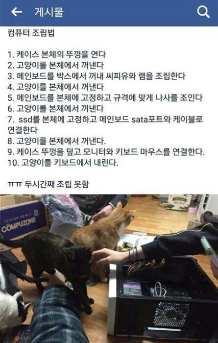 고양이 키우는 집사들의 컴퓨터조립 | 인스티즈
