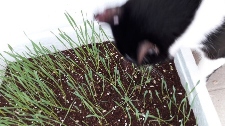 99E658335D4B977611C4B3