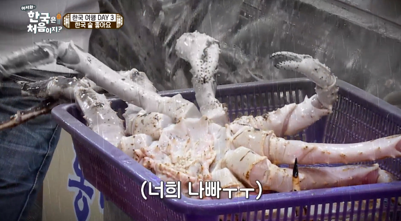 핀란드인의 드립력 | 인스티즈