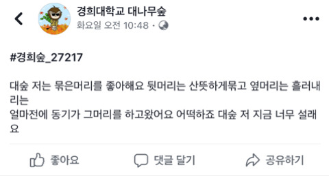 대나무숲 댓글 레전드.jpg | 인스티즈
