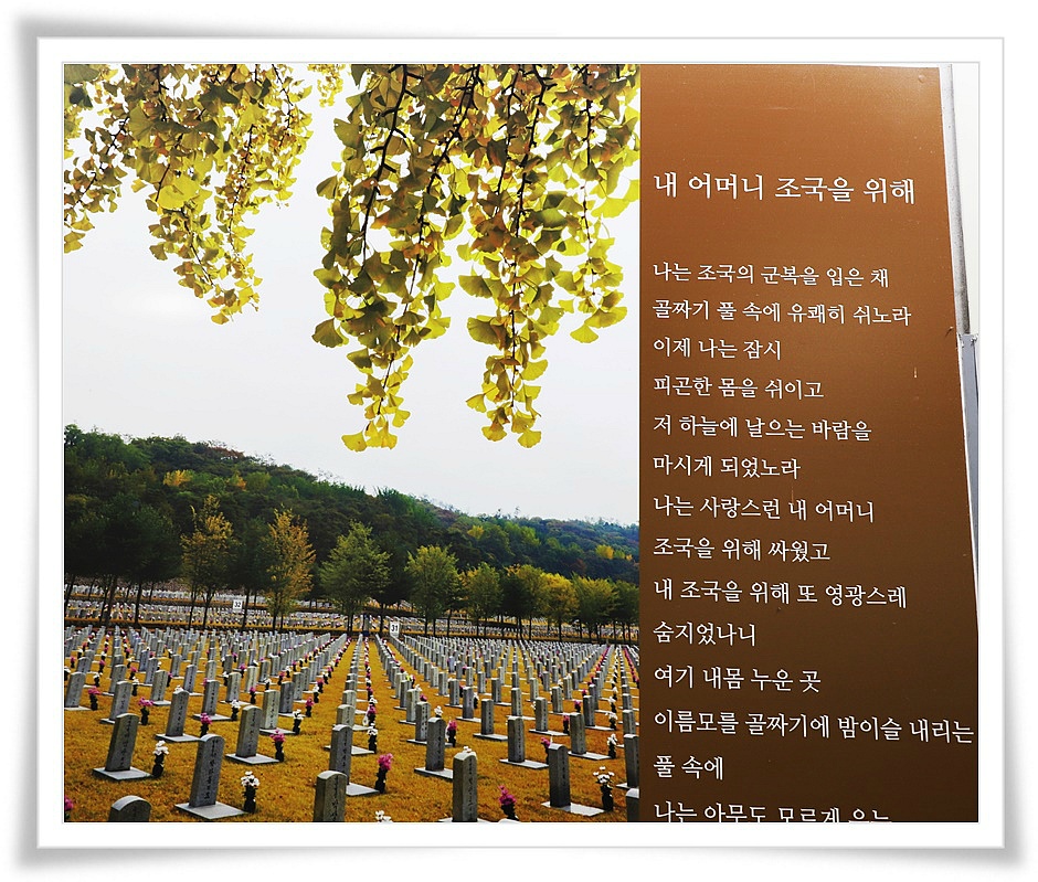 서울복사 이미지