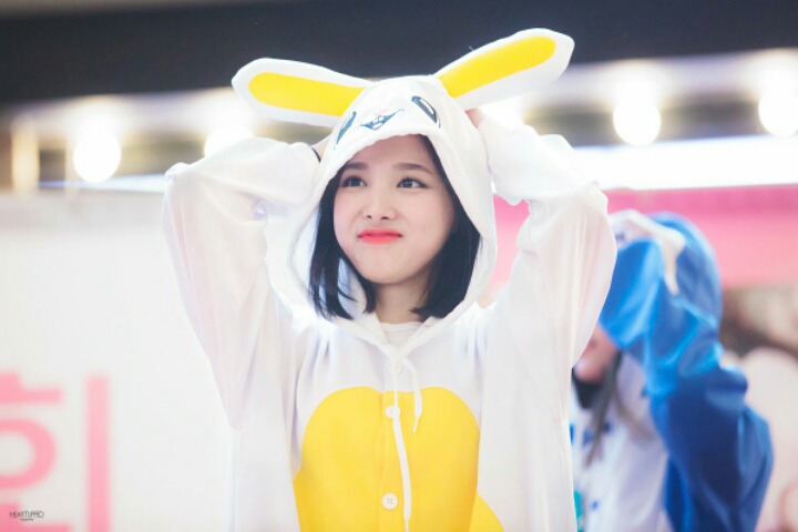 봉스 이미지