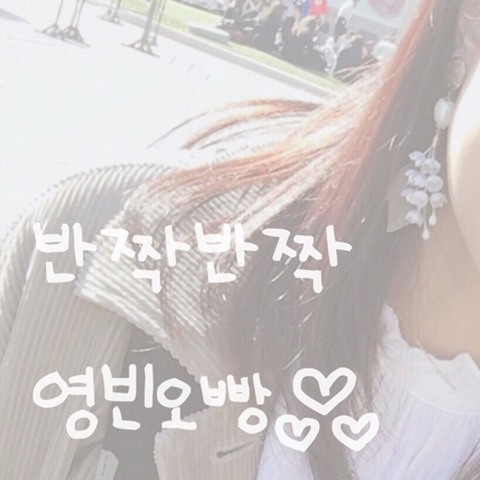 에스에프투어 이미지
