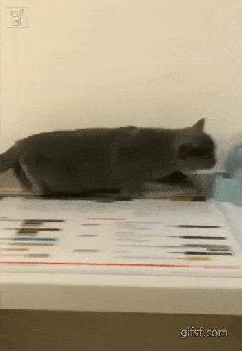 나 못봤다고 해라 | 인스티즈