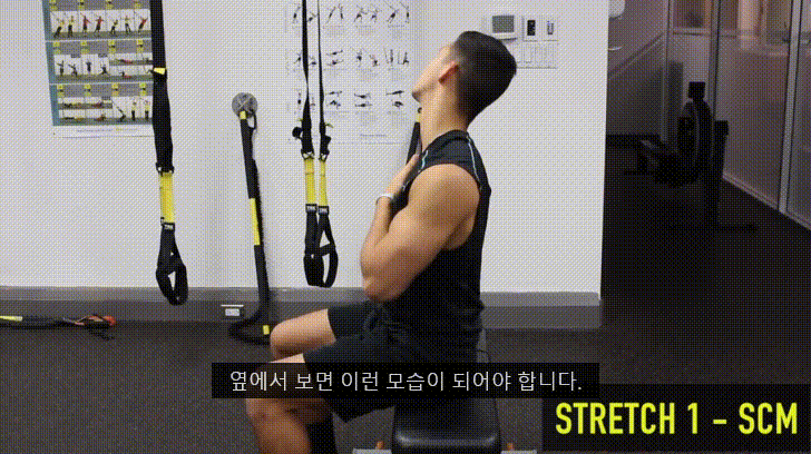 거북목을 고쳐봅시다 - 2탄 (0. 거북목과 이중턱 1.턱 운동에 대해 2.턱운동 해보기) - 데이터 스압주의 | 인스티즈