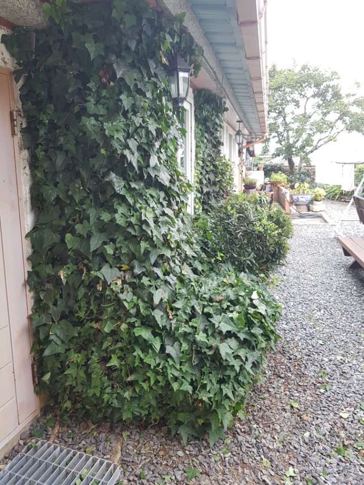 철쭉민박 이미지