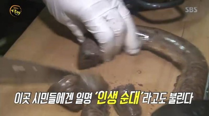 생활의 달인 부산 순대.jpg | 인스티즈