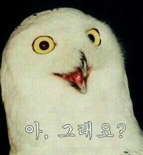 두레박 이미지