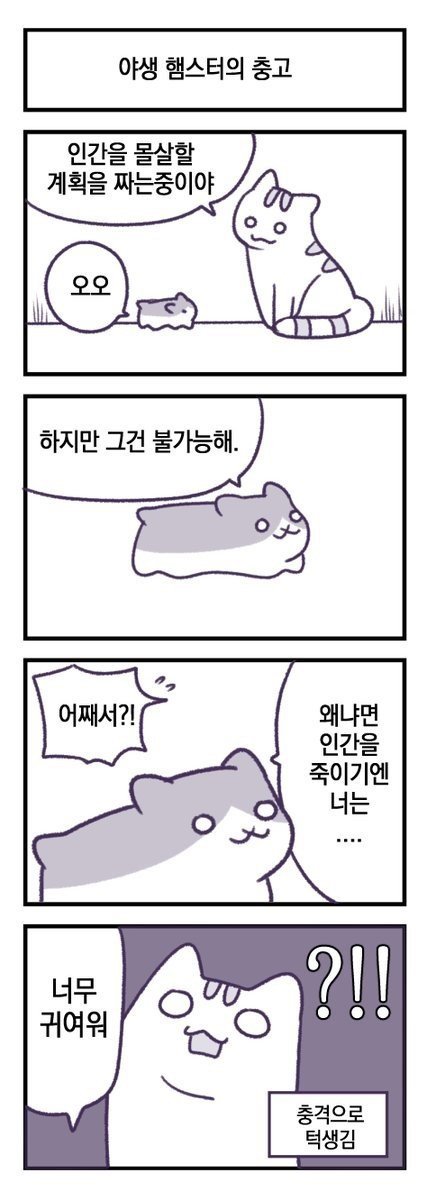 고양이 만화 | 인스티즈