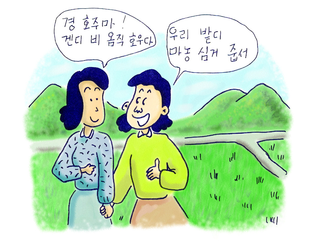 밧듸 이미지